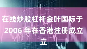 在线炒股杠杆金叶国际于 2006 年在香港注册成立